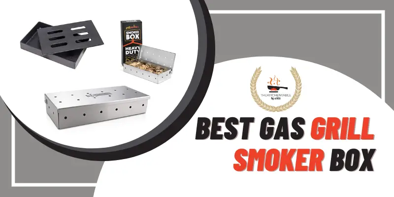 Best Gas Grill Smoker Box
